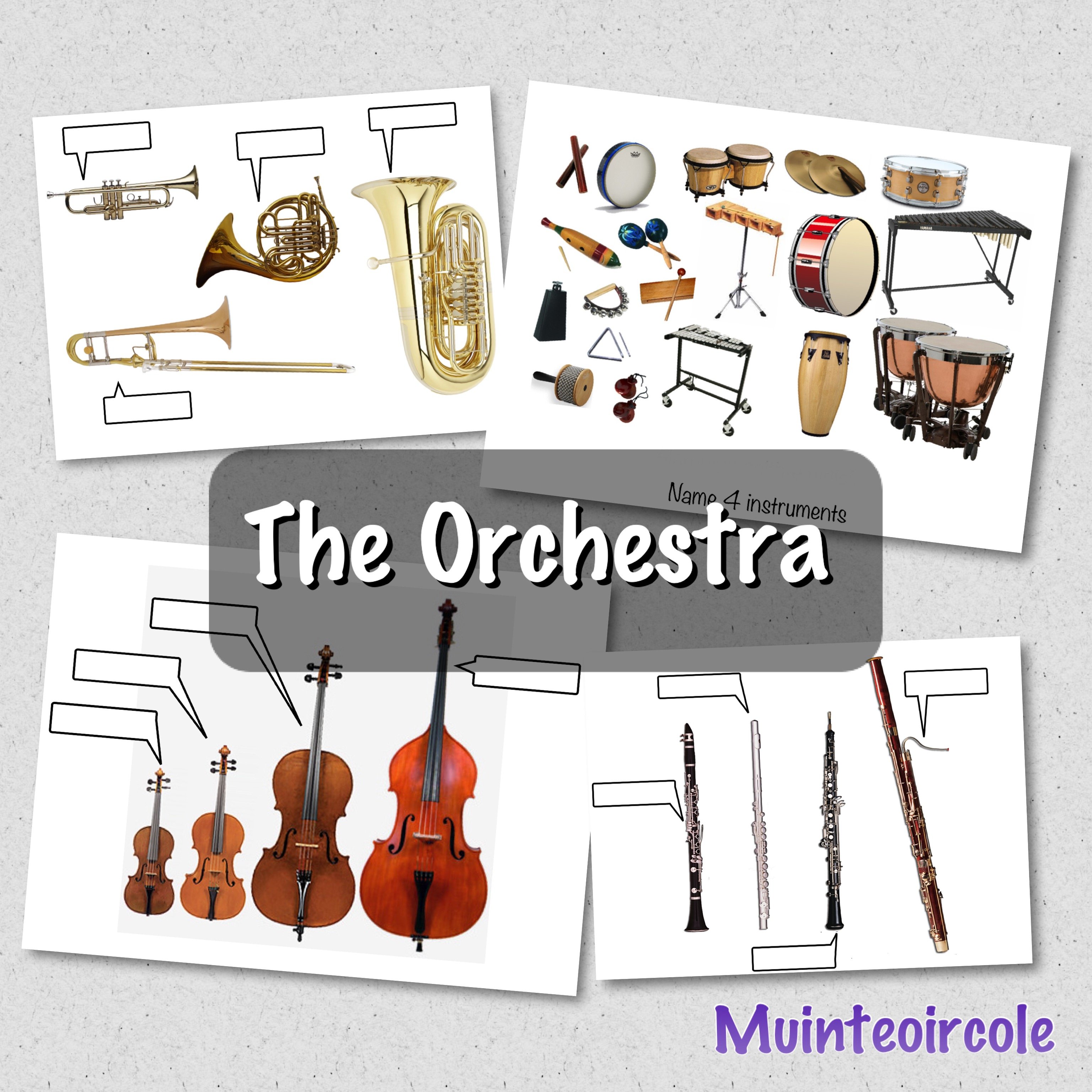 The Orchestra Lesson Plans